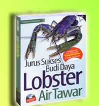 Jurus Sukses Budi Daya Lobster Air Tawar